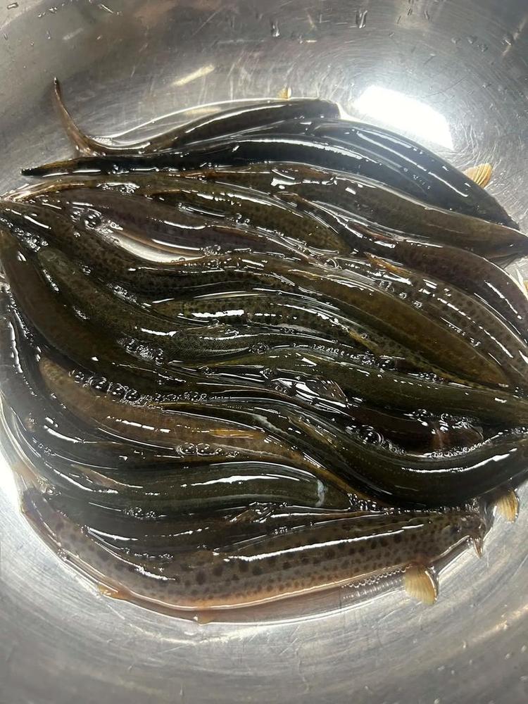 章钟军小铺