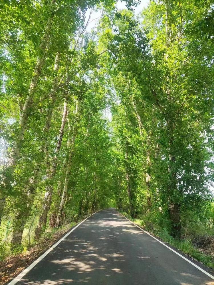 佛山市菲尔凯汽配有限公司