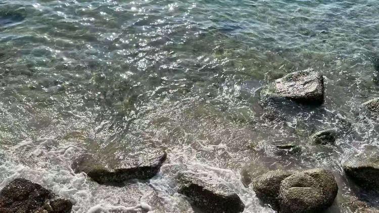 理塘顶针王