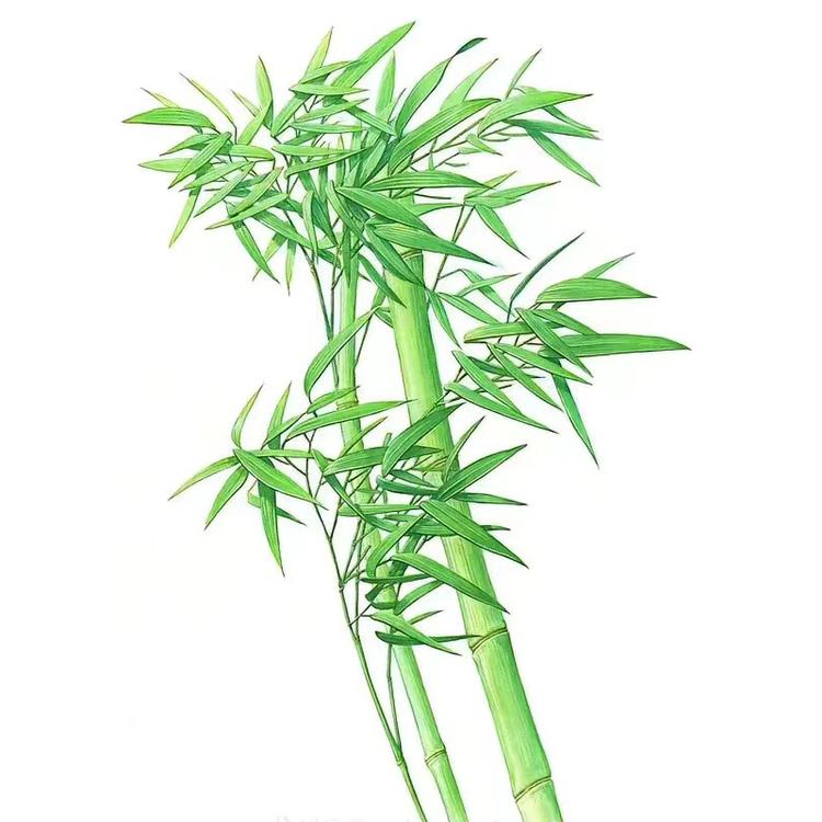 长阳半山坡美妆