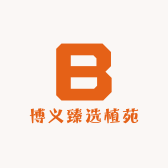 博义臻选育苗
