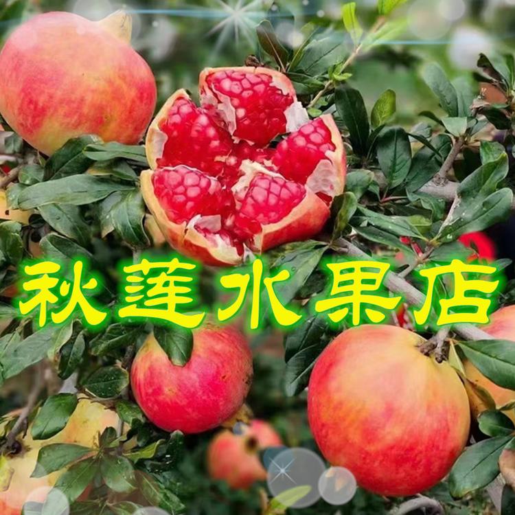 会东秋莲水果店