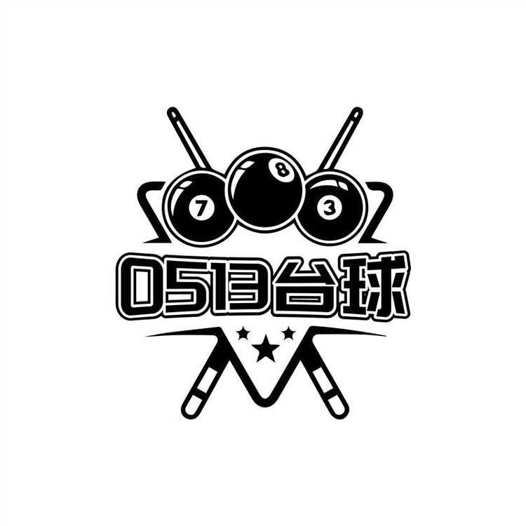 0513台球用品