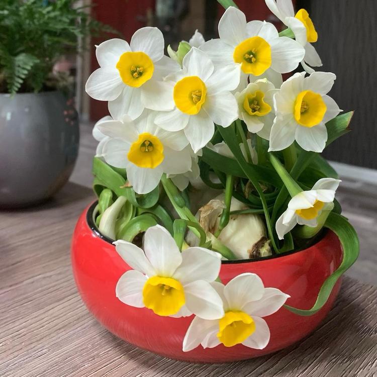小阙当家花果园