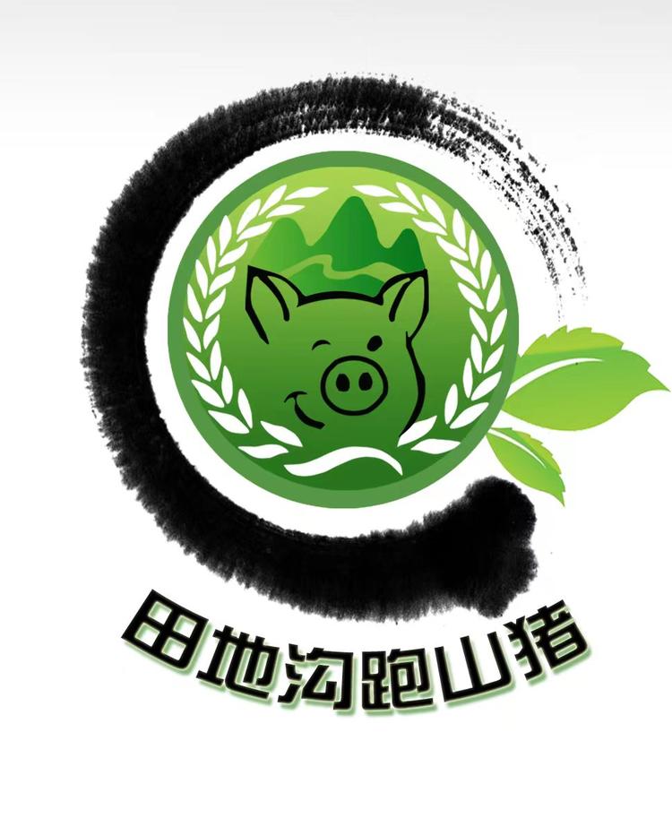 本溪田地沟跑山黑猪