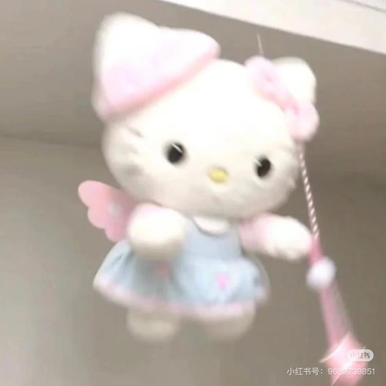 lichi芝芝饰品铺