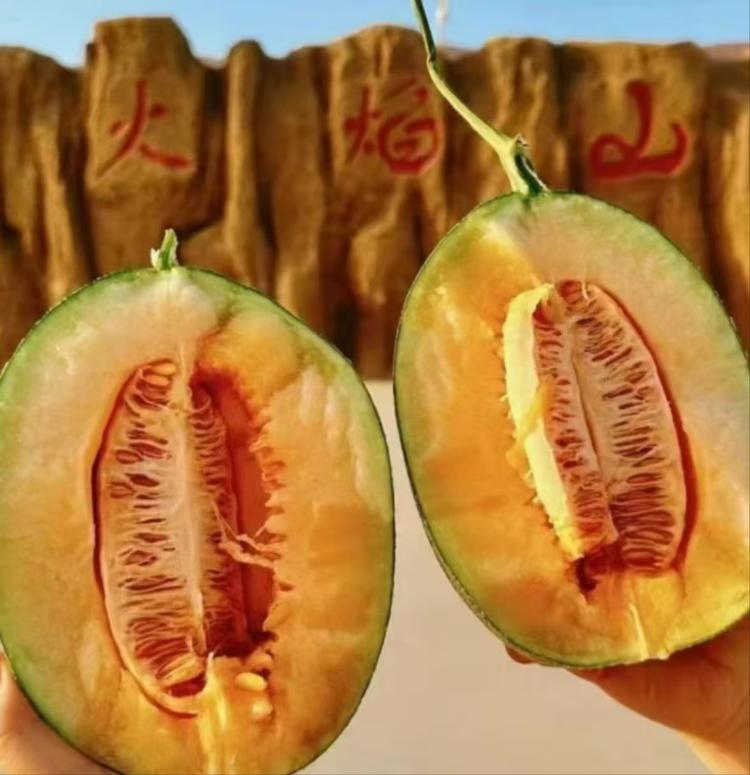 新疆哈密瓜那曼甄选