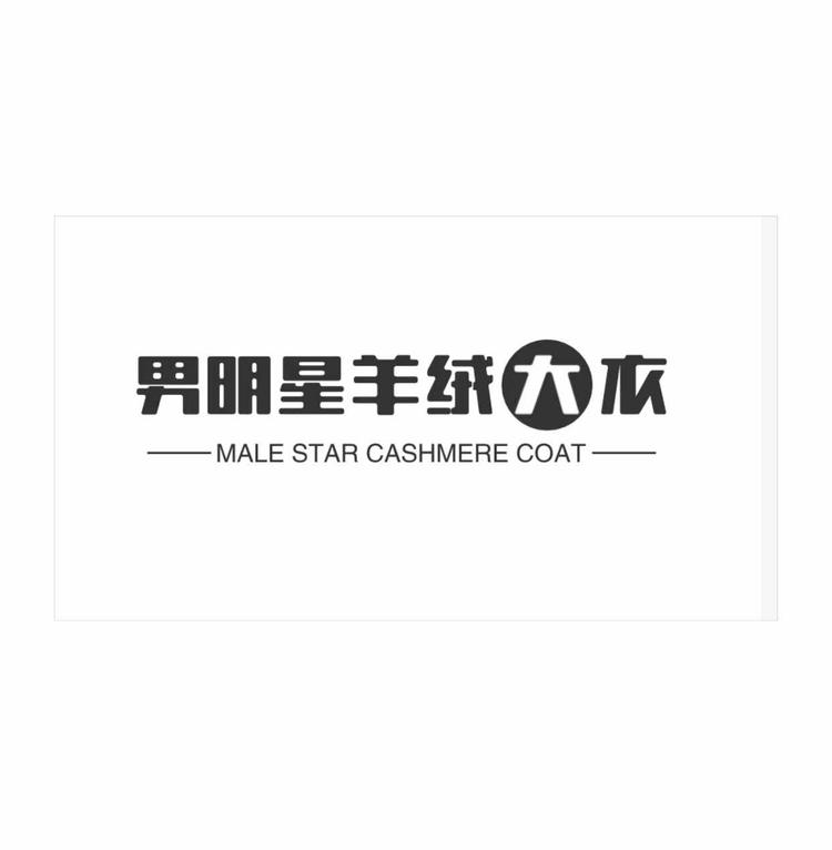男明星羊绒大衣