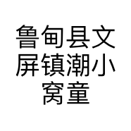 鲁甸县文屏镇潮小窝童装店的小店个体店