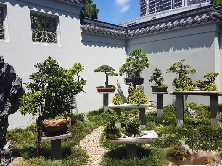 清雅小院盆景园