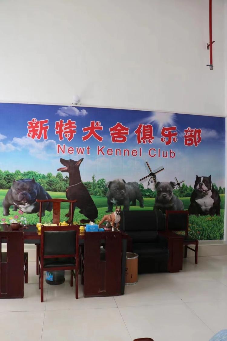 钟楼区邹区新特宠物店的小店个体店