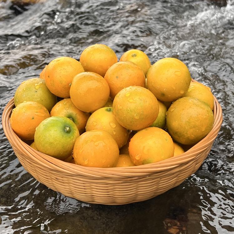 童妈鲜果