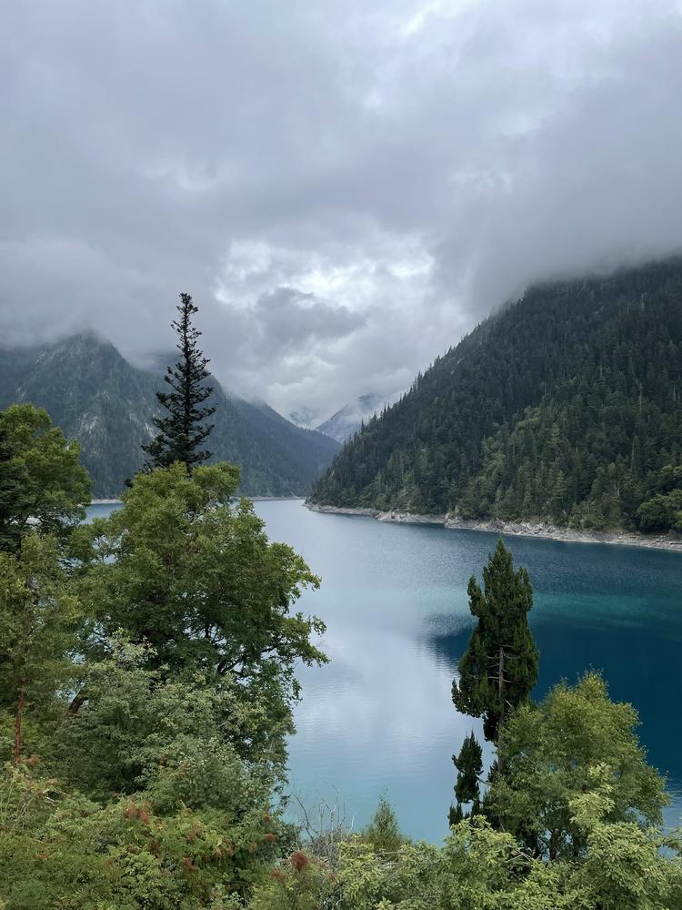 龙骨