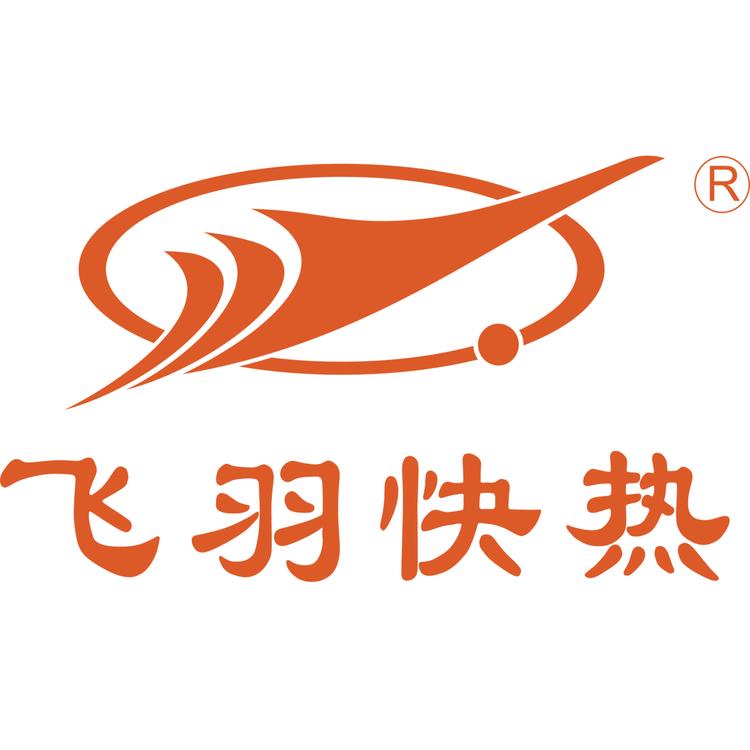 宁波索顿飞羽电器有限公司