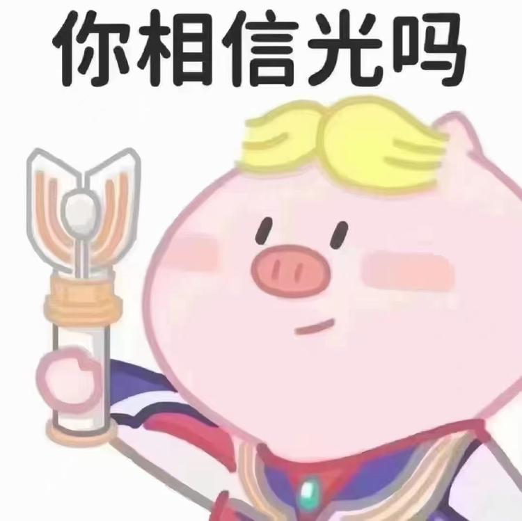 小戈戈蔬菜苗基地