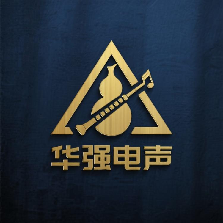 华强电声乐器