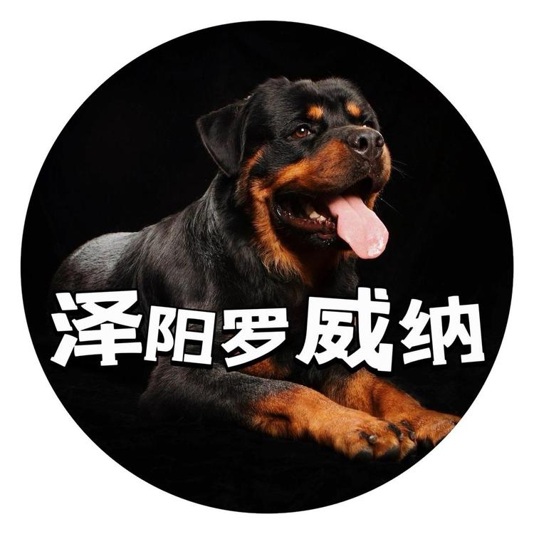 泽阳罗威纳
