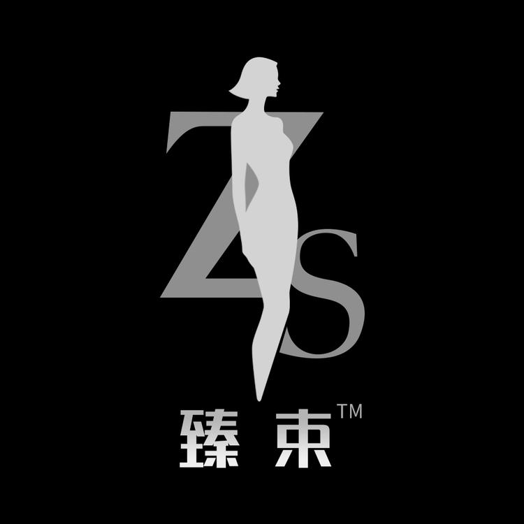 臻束美体ZHENSHU