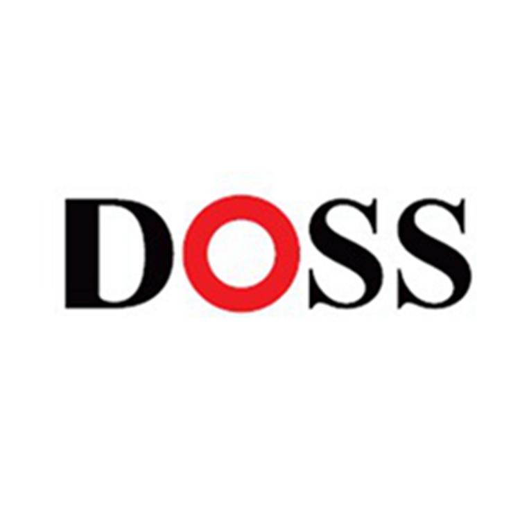 DOSS影音工厂店