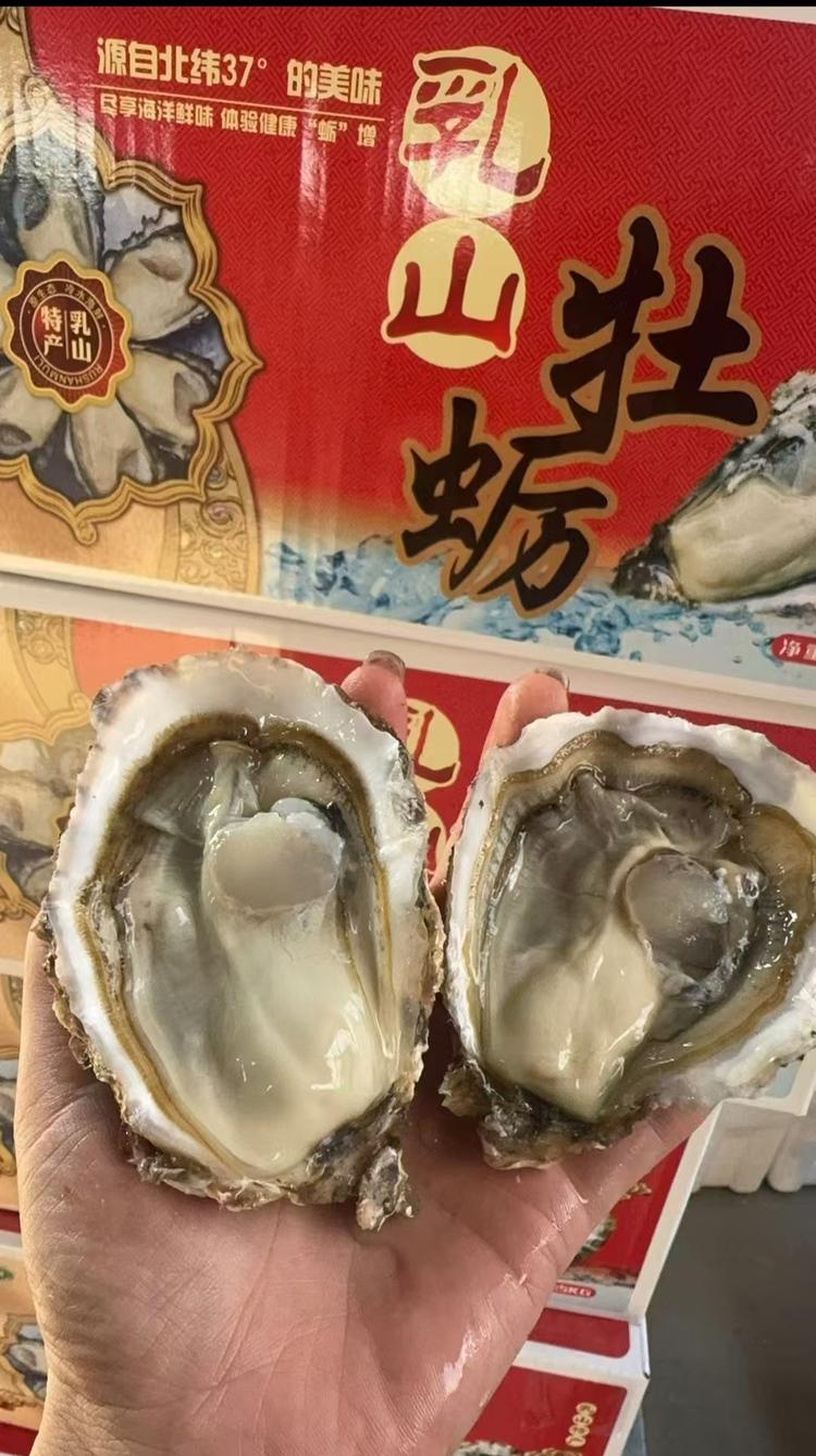 乳山宋一蚝生蚝