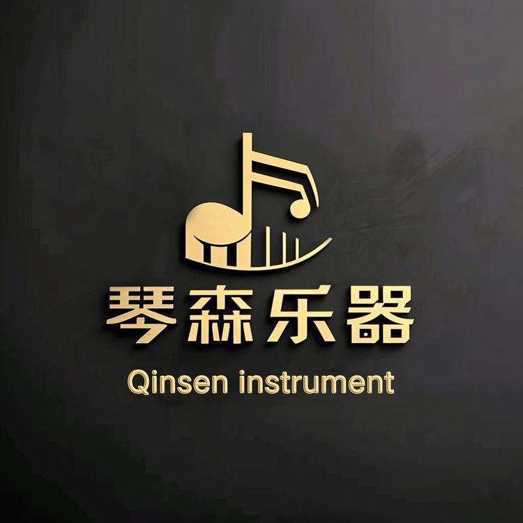 上海琴森乐器工厂店