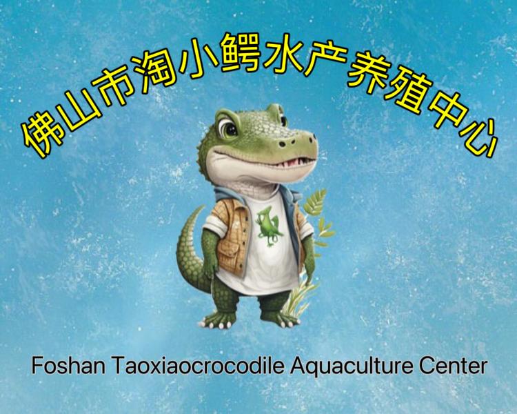 淘小鳄水产鲜活精选店