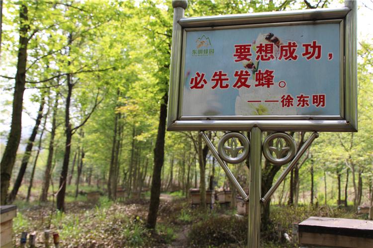 蜂狂小徐哥