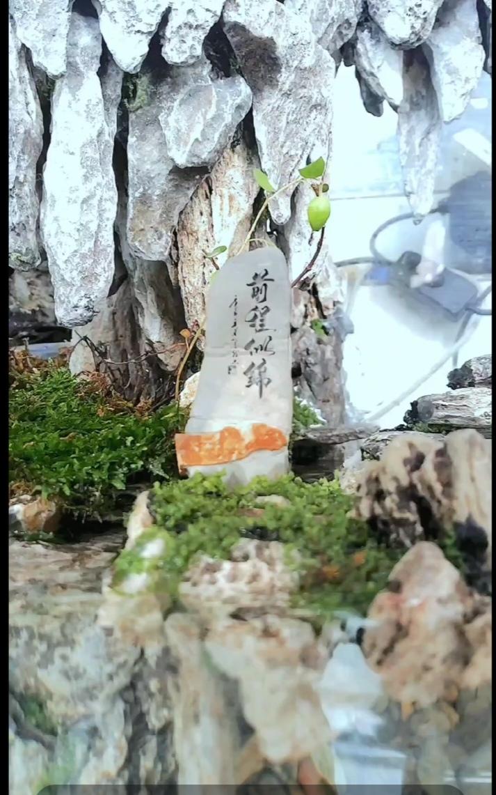蓝程美锦