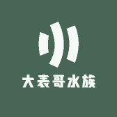 大表哥水族