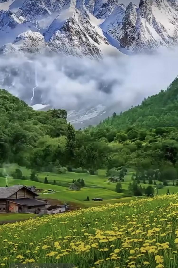 姐妹甄选女装店