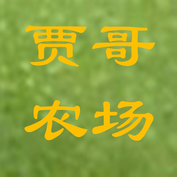 贾哥农场个体店