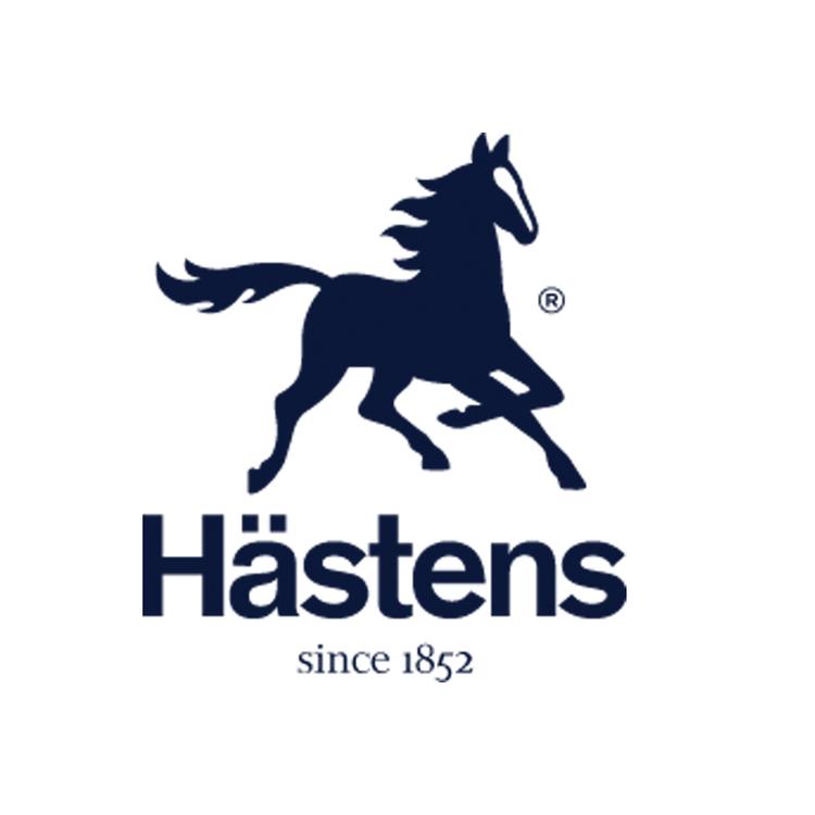 海丝腾Hastens企业店