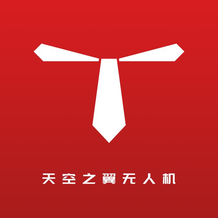 天空之翼无人机
