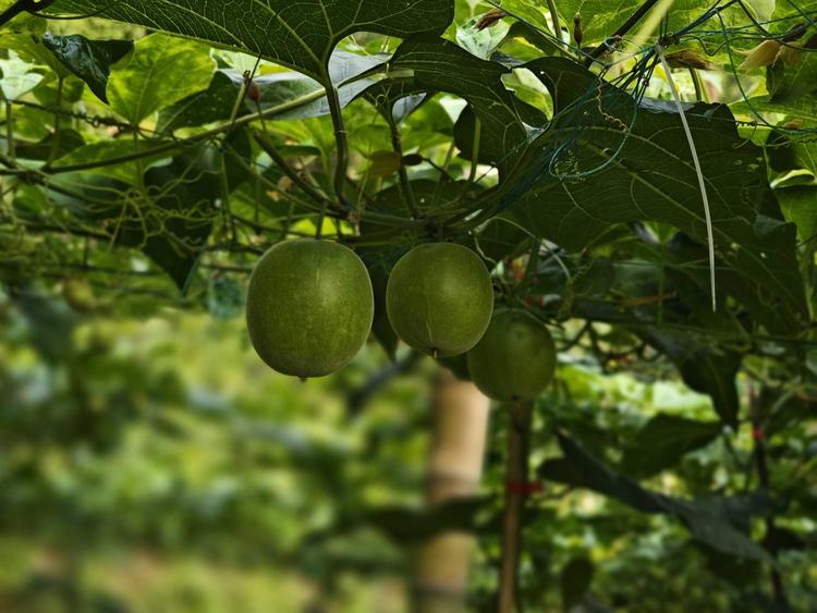 山味吉乡土风情小铺