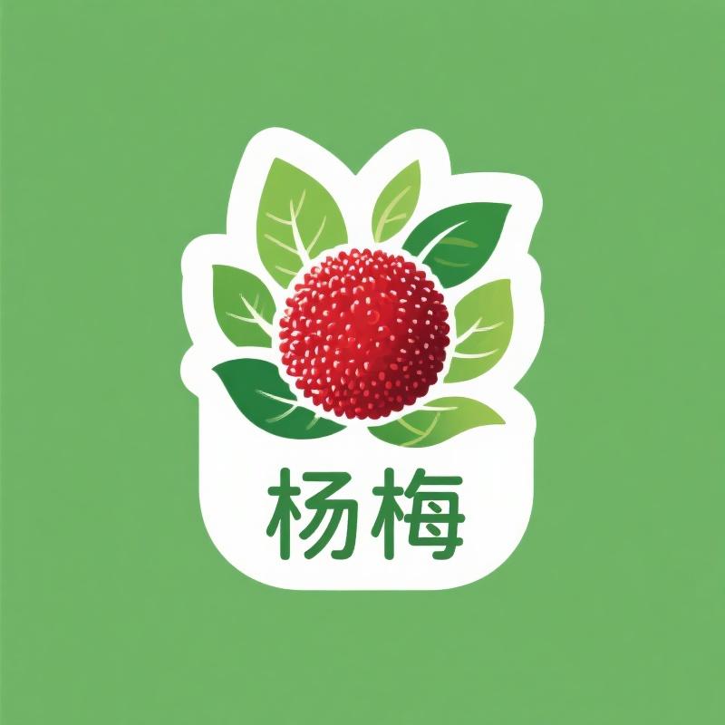 精品杨梅总店