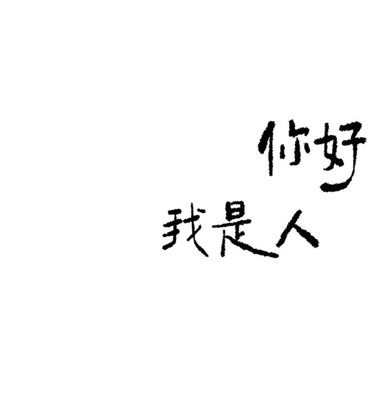 半夜两点的猫