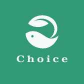 Choice风格