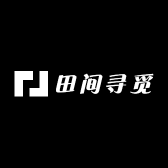 田间寻觅