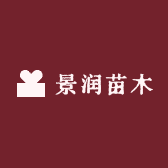 景之润果树苗木专营店
