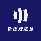 花锦观赏鱼