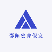 邵阳宏邦假发