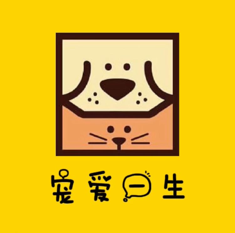 宠爱一生宠物工作室