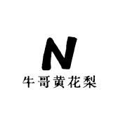 范范黄花梨