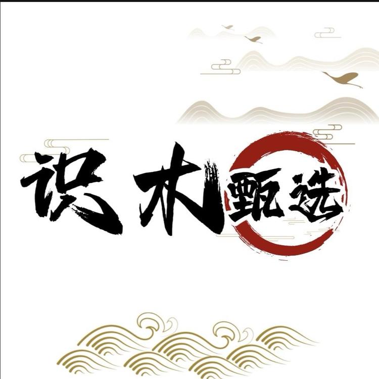 识木甄选