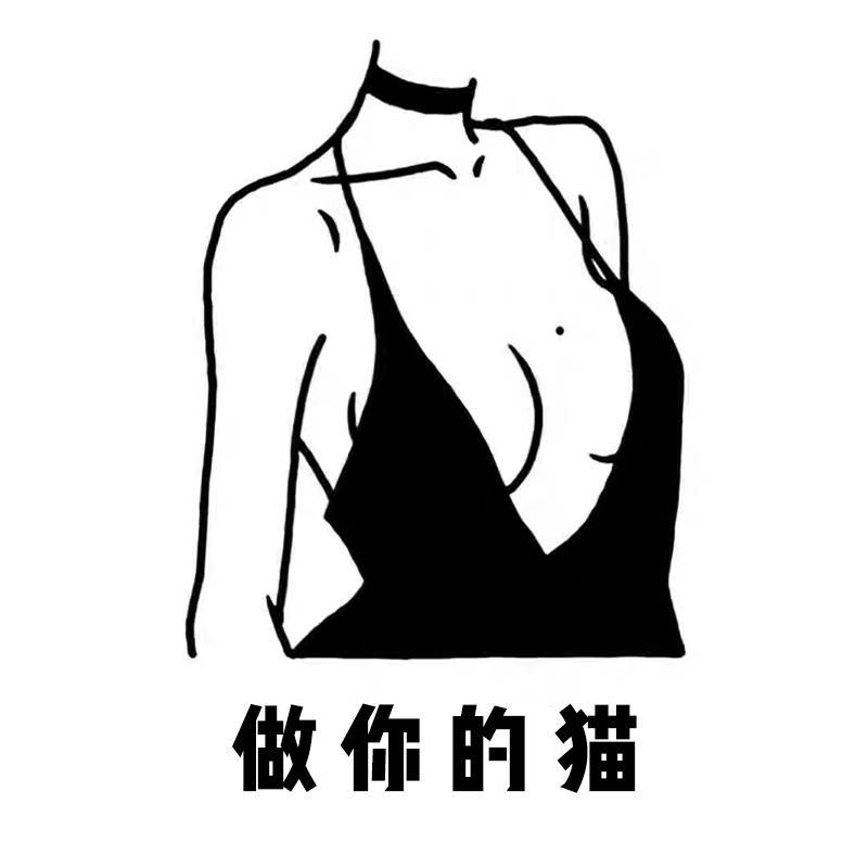 做你的猫K