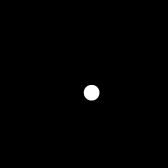 星期五针葵园艺