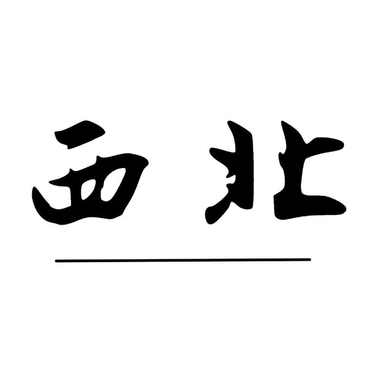 西北玄天男装潮店
