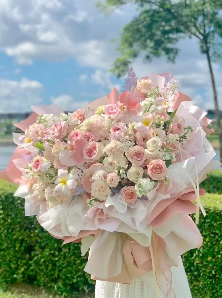 温州绿草原花卉