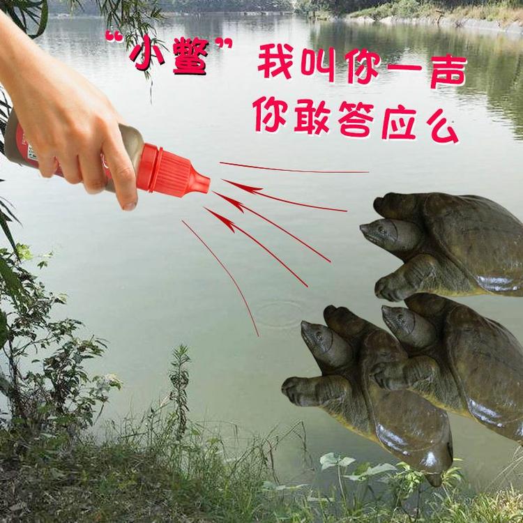 金金渔乐