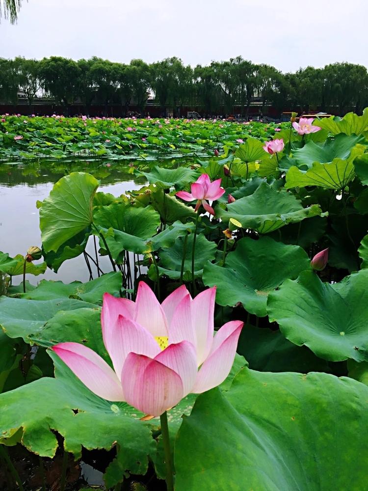斯中凯仕奇